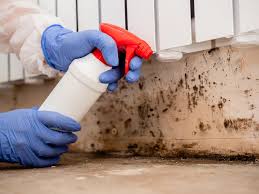 Best Industrial Mold Remediation  in Lake Winnebago, MO